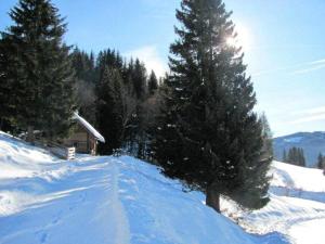 Fischerhtte Murtal Fischer Berghtte Murtal mieten